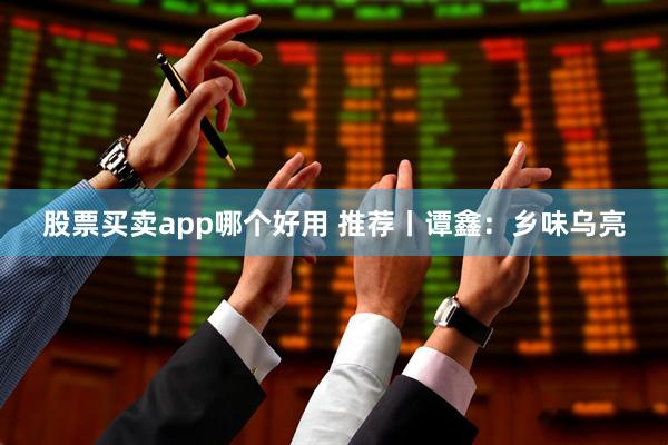 股票买卖app哪个好用 推荐丨谭鑫：乡味乌亮